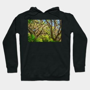 Cumberland Island National Seashore Hoodie